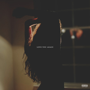 日本体内she精汇编
